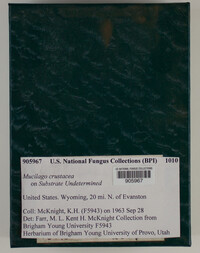 Image Associated With the Occurence